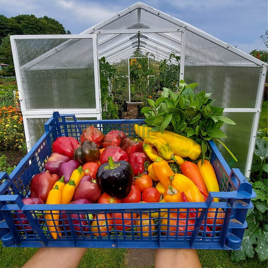 Pemium polikarbonāta siltumnīca 210cm *Garums pēc izvēles*